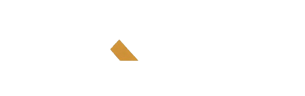 MS Company logo